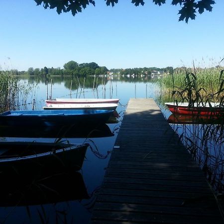Holzhaus Trollbluemchen Am Wald Und See Neuruppin Εξωτερικό φωτογραφία
