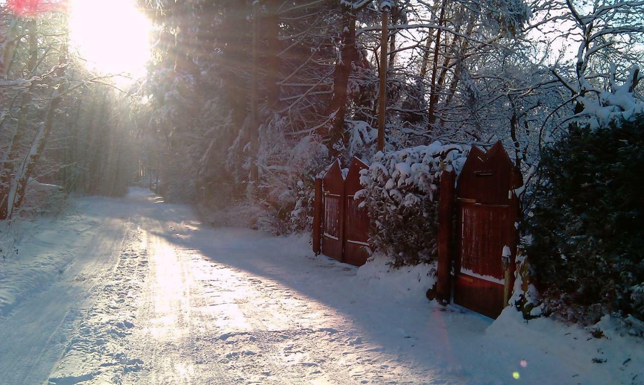 Holzhaus Trollbluemchen Am Wald Und See Neuruppin Εξωτερικό φωτογραφία