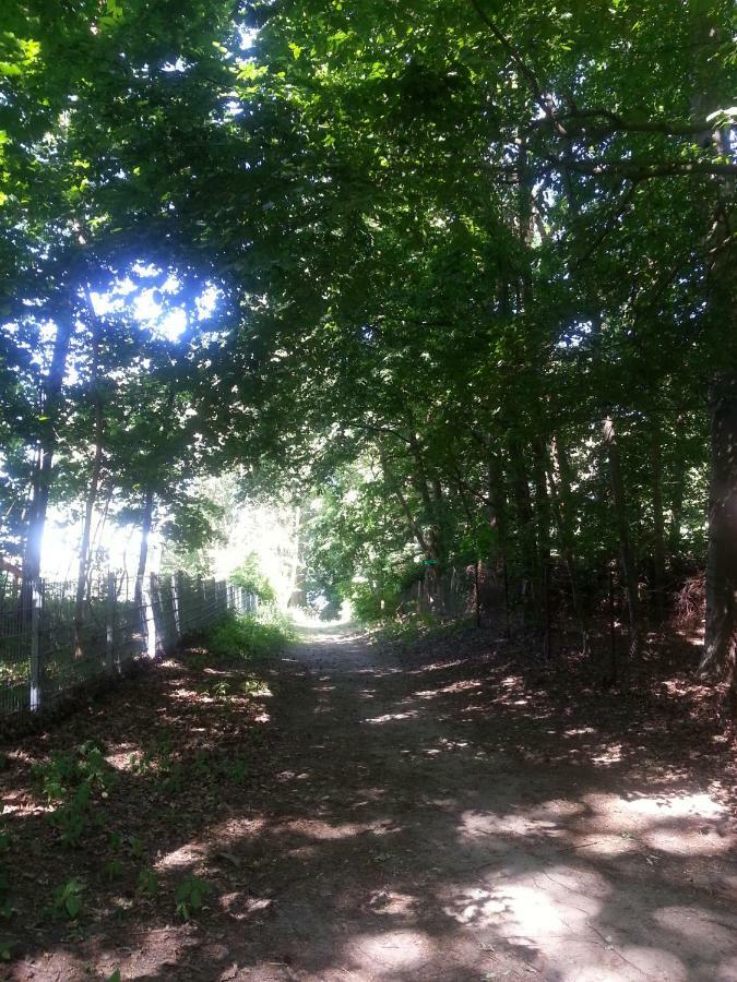 Holzhaus Trollbluemchen Am Wald Und See Neuruppin Εξωτερικό φωτογραφία
